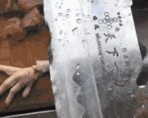 32584130fdde13e047aad3c809cf9e6d.gif